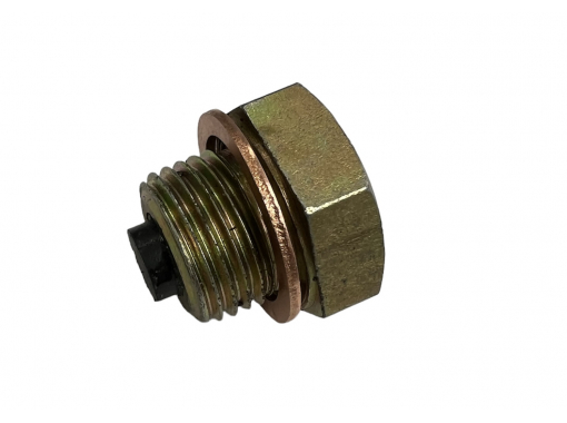 Sump Drain Plug 1/2" BSP - Magnetic Image 1