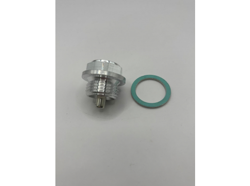 Sump Drain Plug 1/2" BSP - Magnetic Image 1