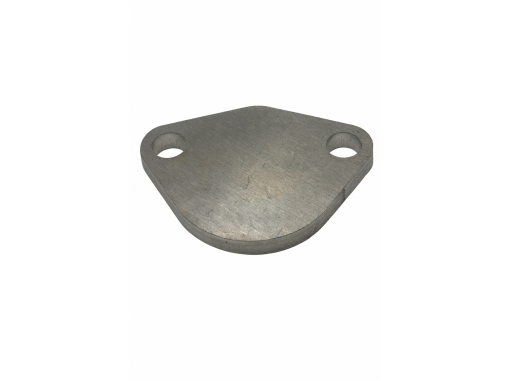 Fuel Pump blanking plate