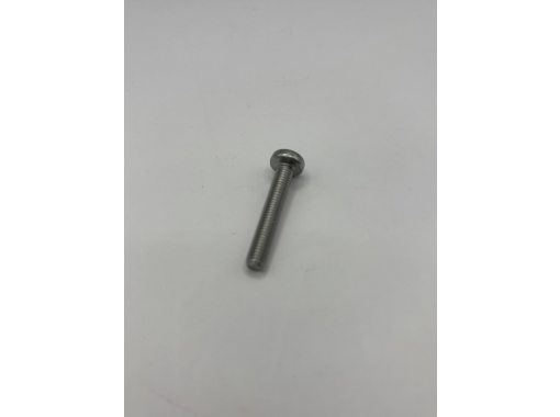 M5 x 35mm Pan Head SS Screw