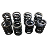 Valve Spring set - standard