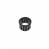 ZF Needle Bearing (105)